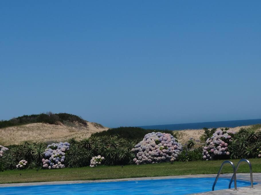 Draga Amazing Seaside 2 Dorms Apartment *