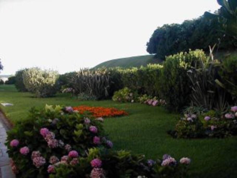 Apartment Draga Amazing Seaside 2 Dorms Punta del Este